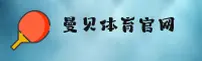 使用指南与常见问题