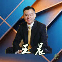 王晨